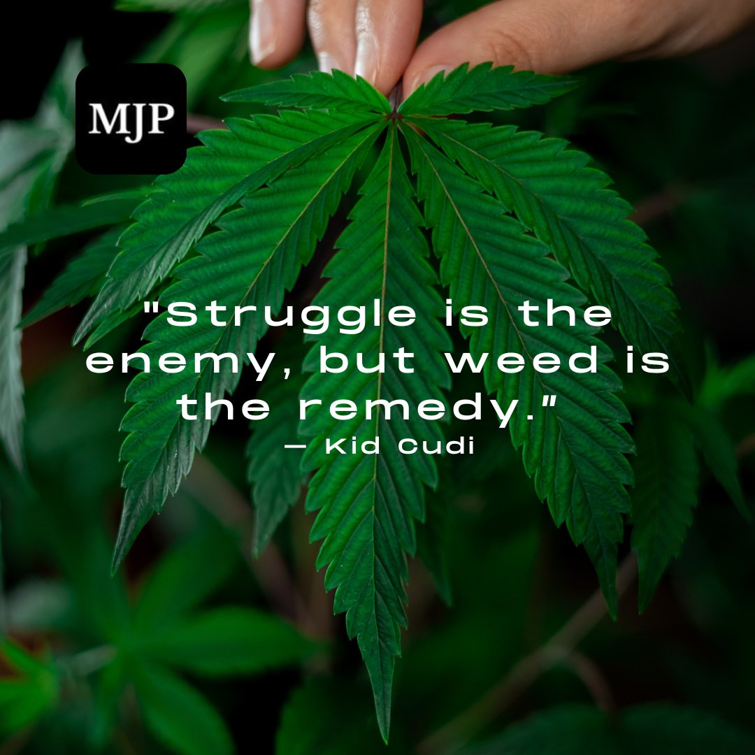 MaryJanesPosts's tweet photo. Smoke it out! 🚬
.
.
.
#CBD #news #cannabiscommunity  #MJPost https://t.co/1QcmWqoLIz