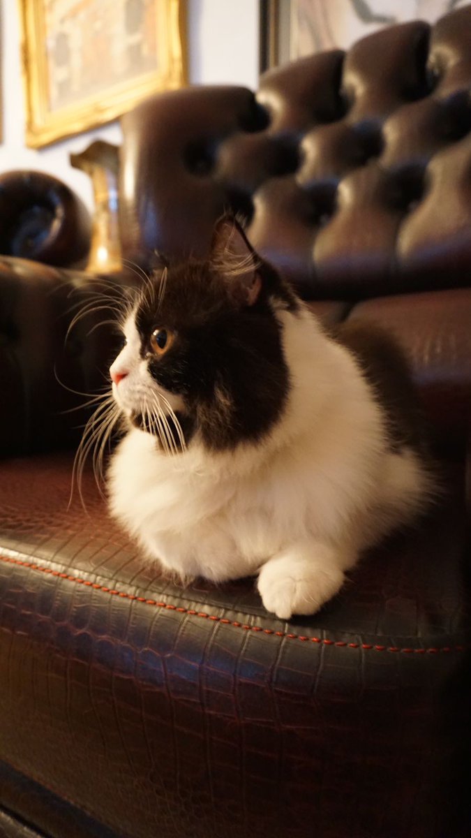 ꣹ Taa♡base.eth tweet media