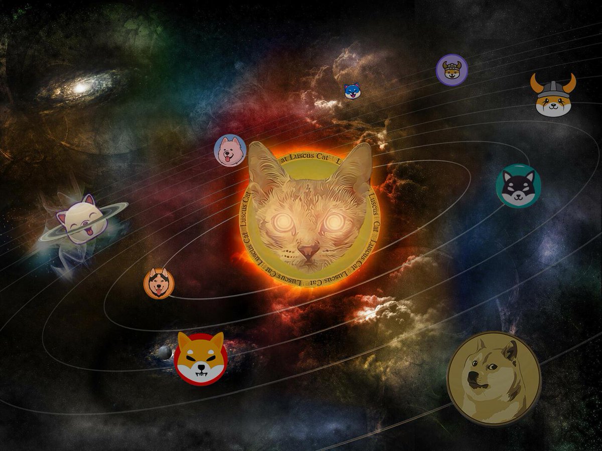 Luscus Cat tweet media