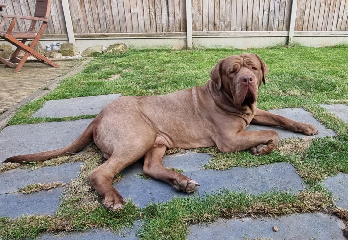 Sarah Watson tweet media