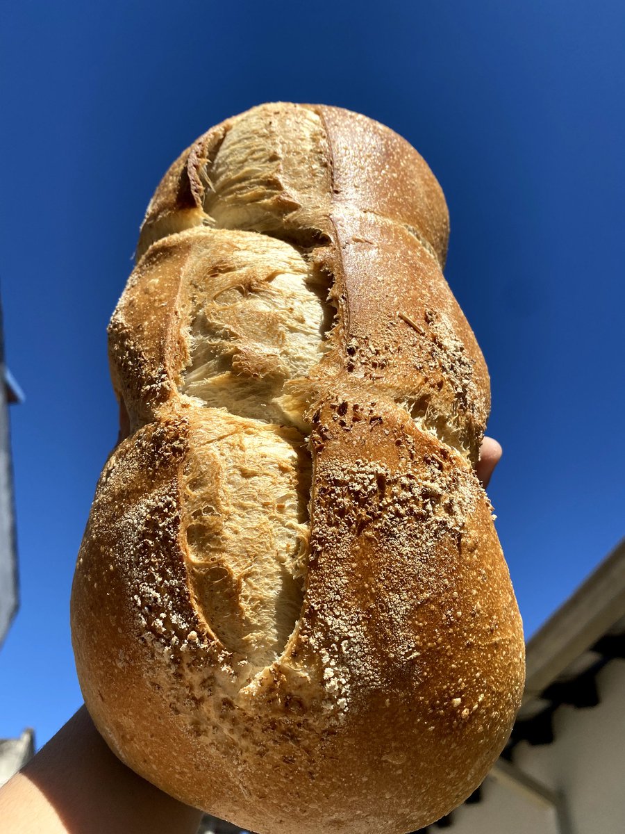 OvejaNegraPy's tweet image. Buenas! Ya vinimos a traer panes por acá también 😁 😁
Miren como está el día, un pan trincha recién horneado! 😍
#PanTrincha #Panadería #MasaMadre