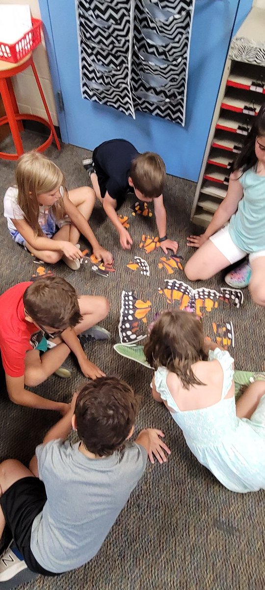 2nd Grade at MT tweet media