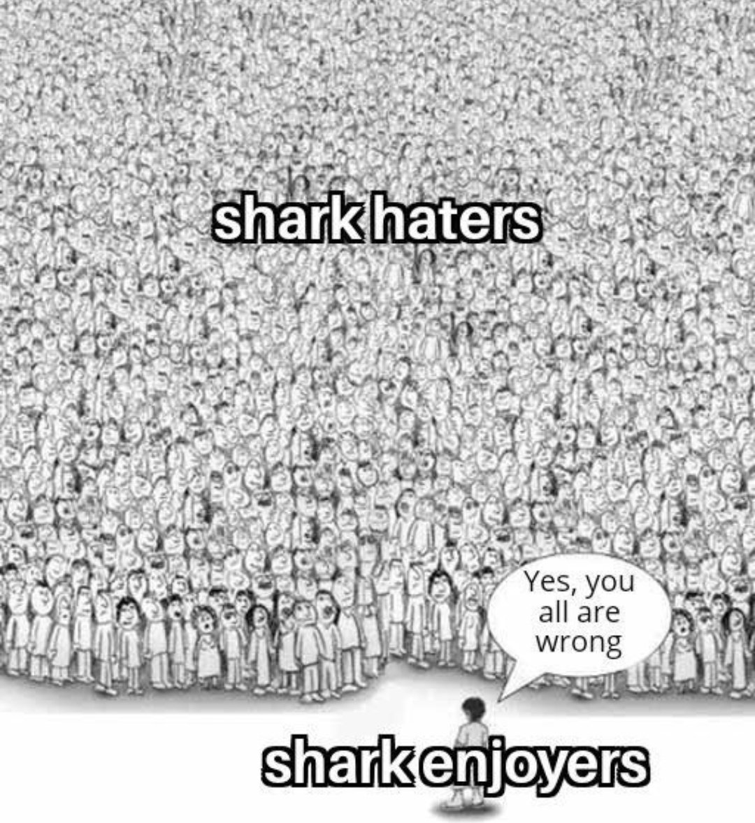 Sharks Daily 🦈 (@sharkseverydayy) on Twitter photo 