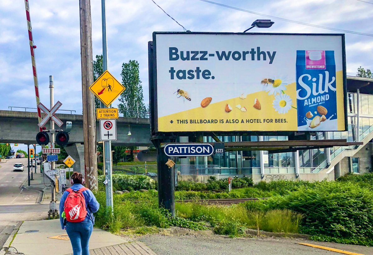 Send in the bees!🐝🐝🐝 

#SilkCanada goes above and BEE-YOND with their buzz-worthy campaign to help raise awareness for their #OnePlanetOneHealth vision.