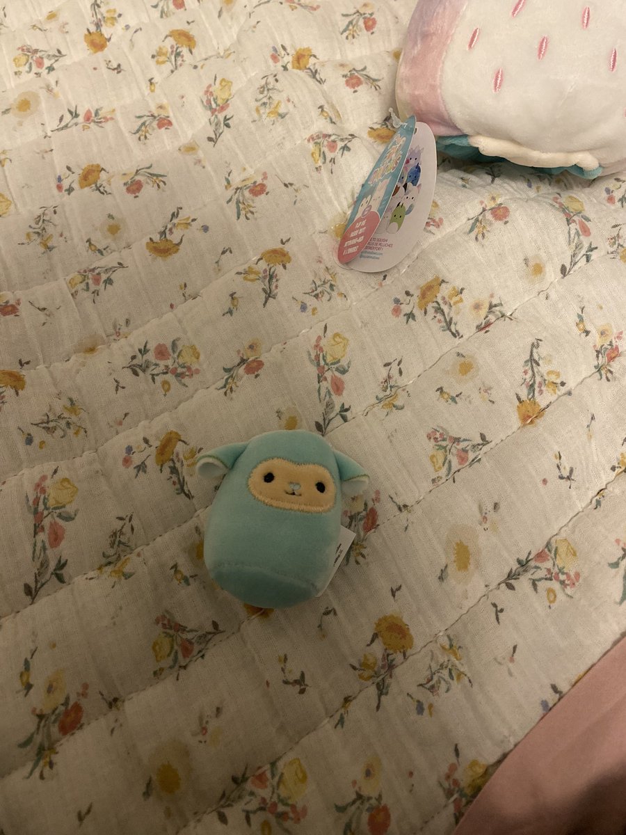 cassiemae22's tweet photo. @CharlotteKaye I got this small dude in a blind capsule thing and I use it as a stress ball when I watch anything that makes me anxious! https://t.co/iA4198stH2