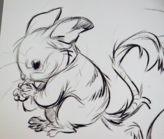 Mouse Pokémon 