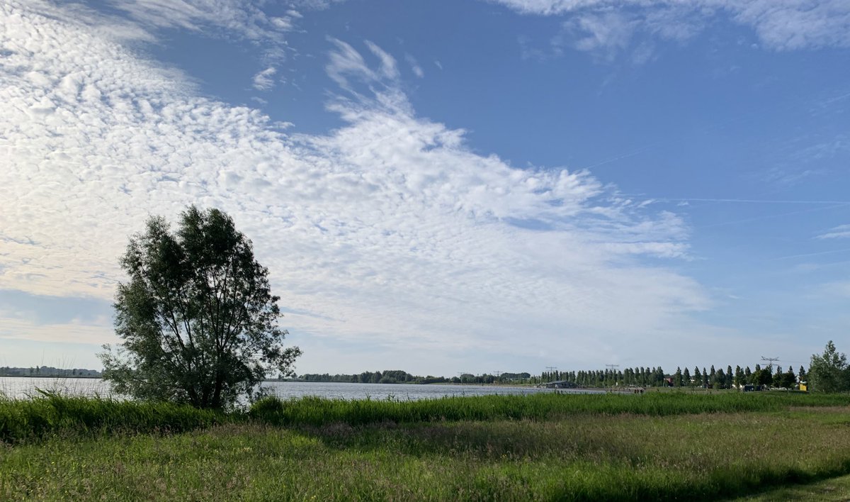 Mariekeduijndam's tweet photo. Een mooie route vandaag gewandeld met de @a4dlr, dwars door #Leidscherijn, over #hetlint en langs de #haarrijnseplas. https://t.co/gTmes4bzNc