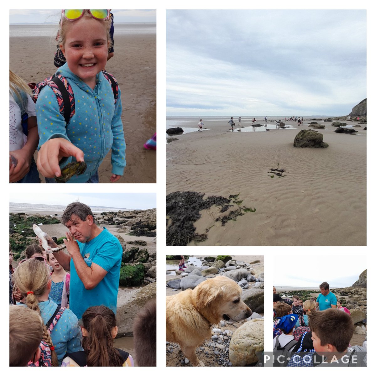 GPSMrsLEvans tweet media