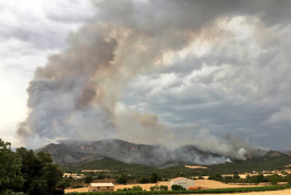 Roger Heredia Jornet tweet media