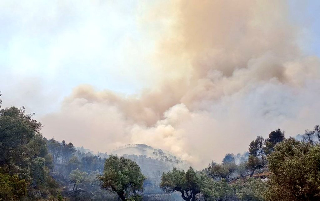 Roger Heredia Jornet tweet media