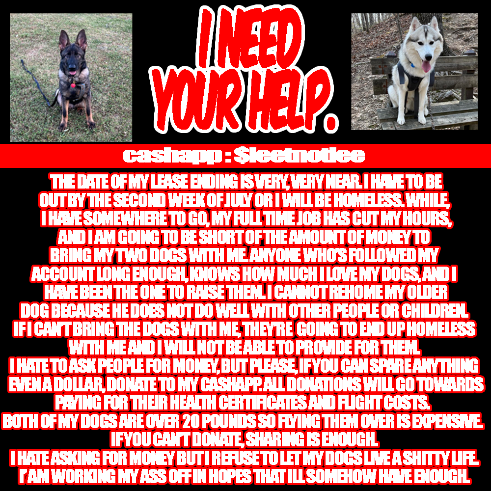 Ieetness's tweet photo. I hate to be at the point where I have to post this as well as ask for donations, but here we are. Please, share if you can. Every donation helps but at the end of the day it is up to you. I just can't bare to lose them or give them a bad life. #DogsofTwitter #helpinghand https://t.co/rHgvlx25jj