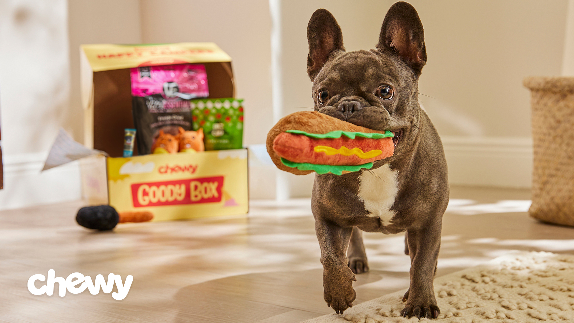 Chewy dog toy box hot sale