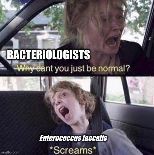 MicroTolo's tweet photo. https://t.co/ChExGmDGRO
