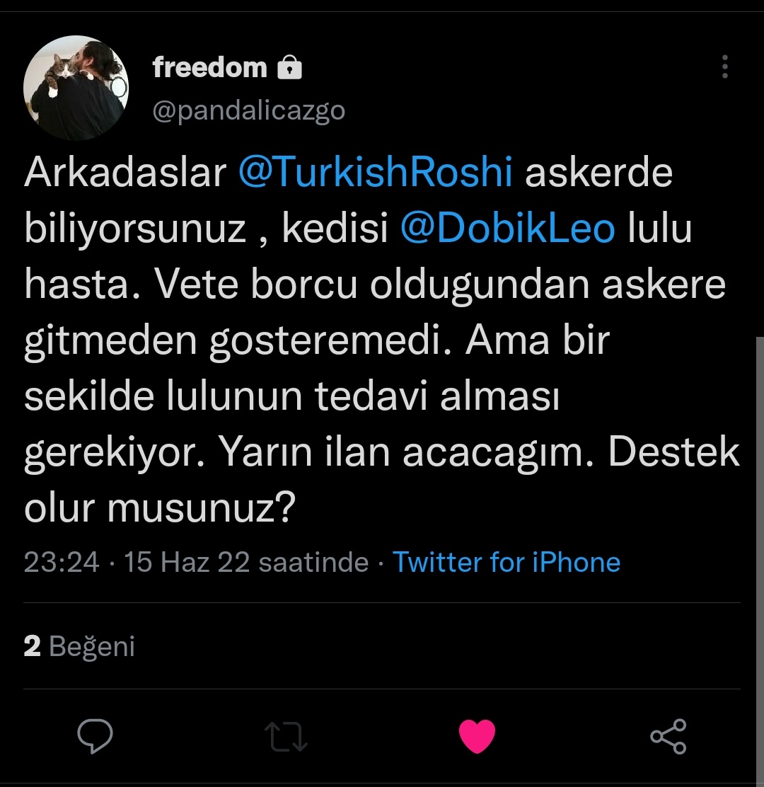 kayipmecnun's tweet photo. Dostlarım roshi'nin kedisi luluya yardımcı olabilir miyiz hep birlikte 🙏🏻 https://t.co/PQmPXpuix1