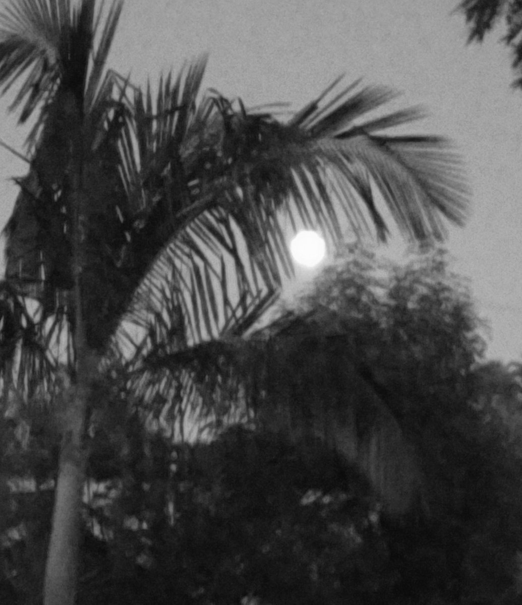 Mr_Beets's tweet photo. 6/14/22 🌚♐ https://t.co/F7udAgmSw5