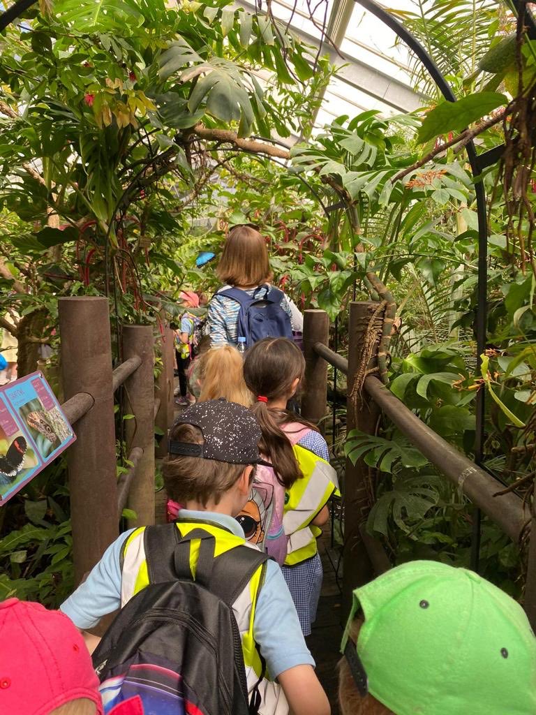 Y2HartfordManor's tweet photo. Robins have also had a fantastic day at Chester Zoo! 🦓🦒🐫🦏 https://t.co/dgthSfDOk9