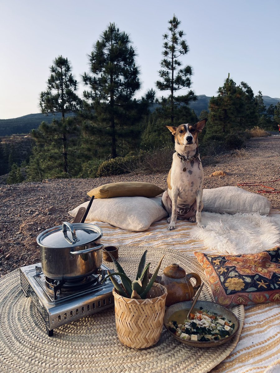 ¡En pleno activismo!☘️ #Tenerife