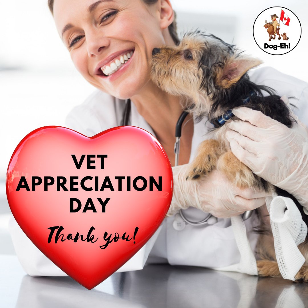 Today is Veterinarian Appreciation Day! Thank you to all the vets today and every day!

#vetappreciation #vetappreciationday #nationalvetappreciationday #veterinarianappreciationday #nationalveterinarianappreciationday #vetlife #notonemorevet #nomv #vetmed #veterinarian