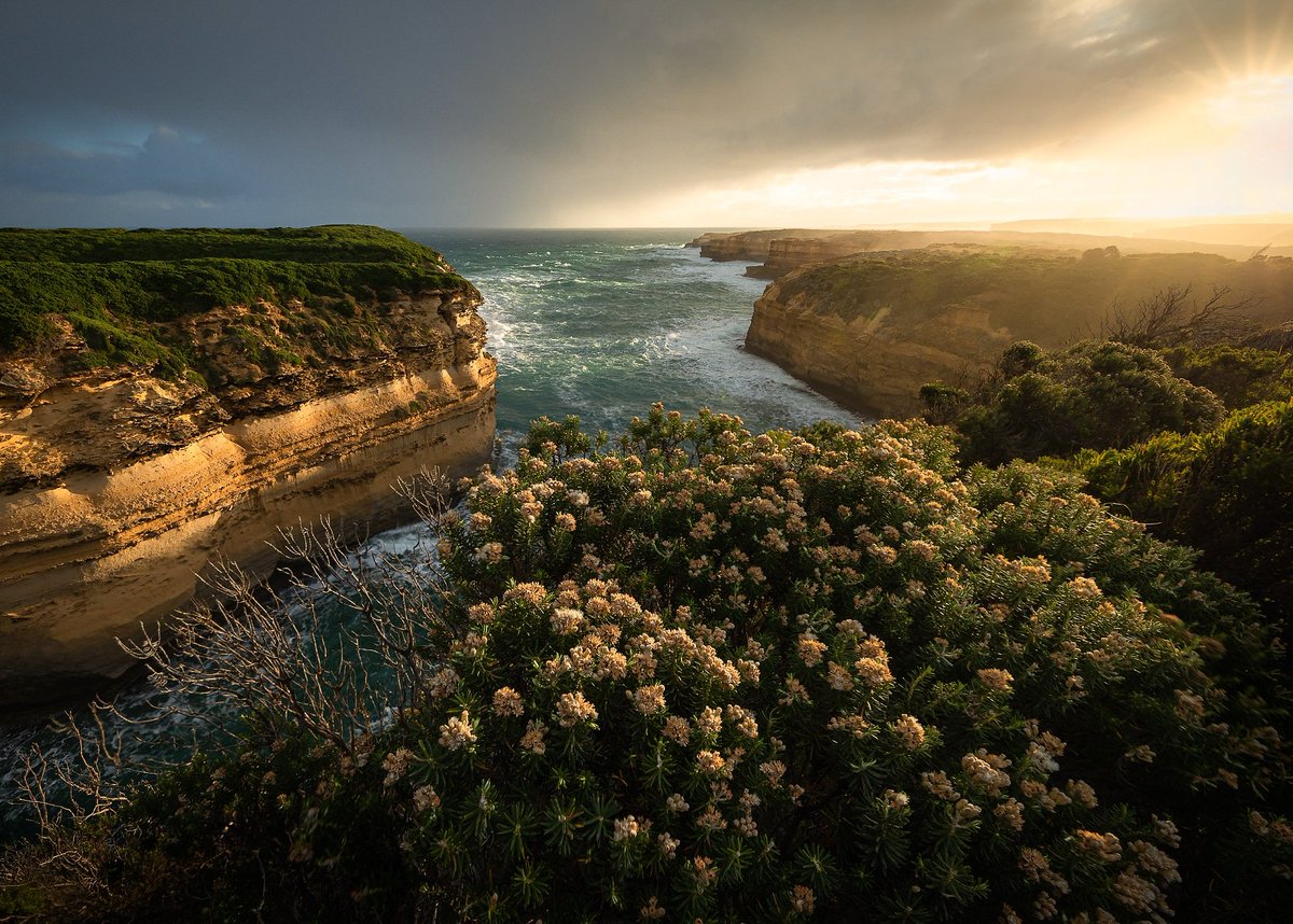 Melinda Pryor tweet media