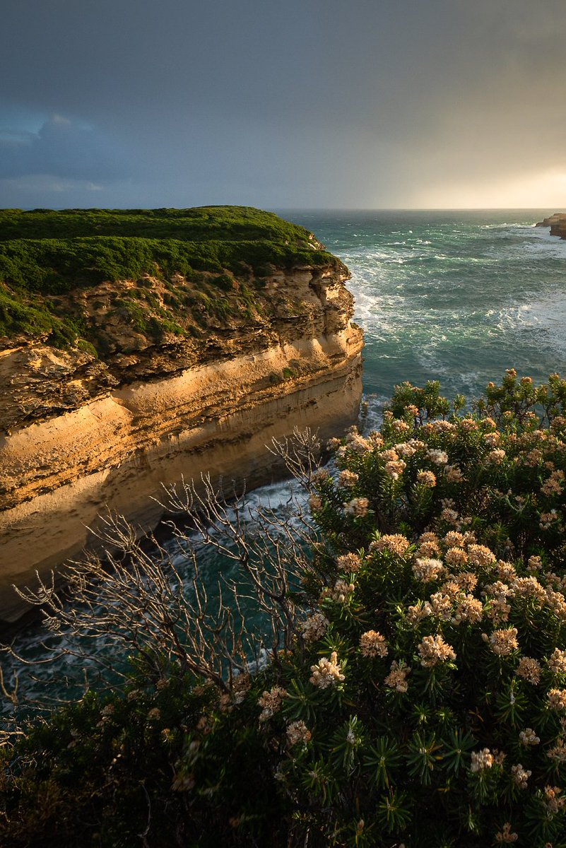 Melinda Pryor tweet media