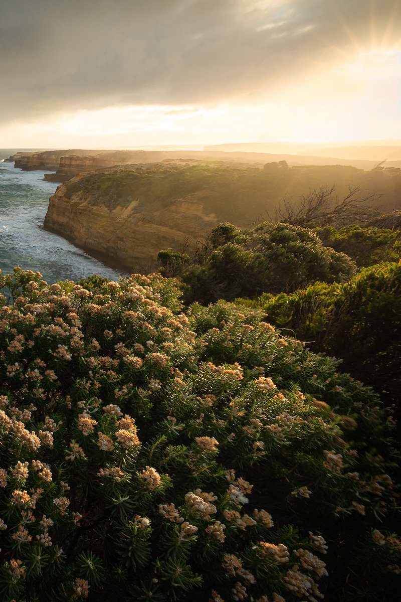 Melinda Pryor tweet media