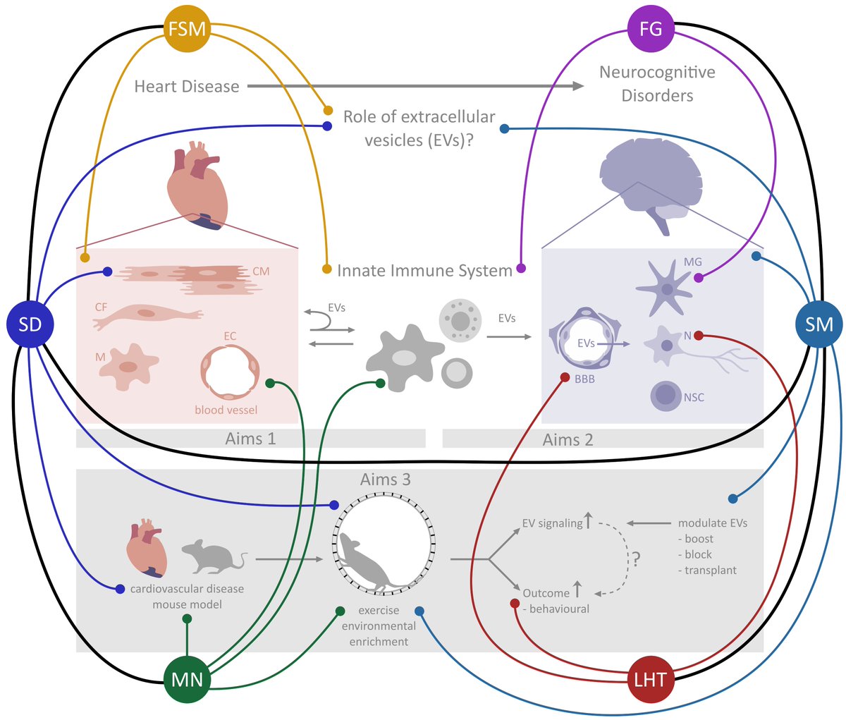 SciCommAtelier's tweet photo. @iamscicomm I'm Susanne, I love to think about how complex scientific ideas can be communicated in visuals. I focus on a clear communication of the idea(s), while my illustration style is simple. I mainly design graphical abstracts for grant proposals or articles. https://t.co/JsTB3UdJdJ