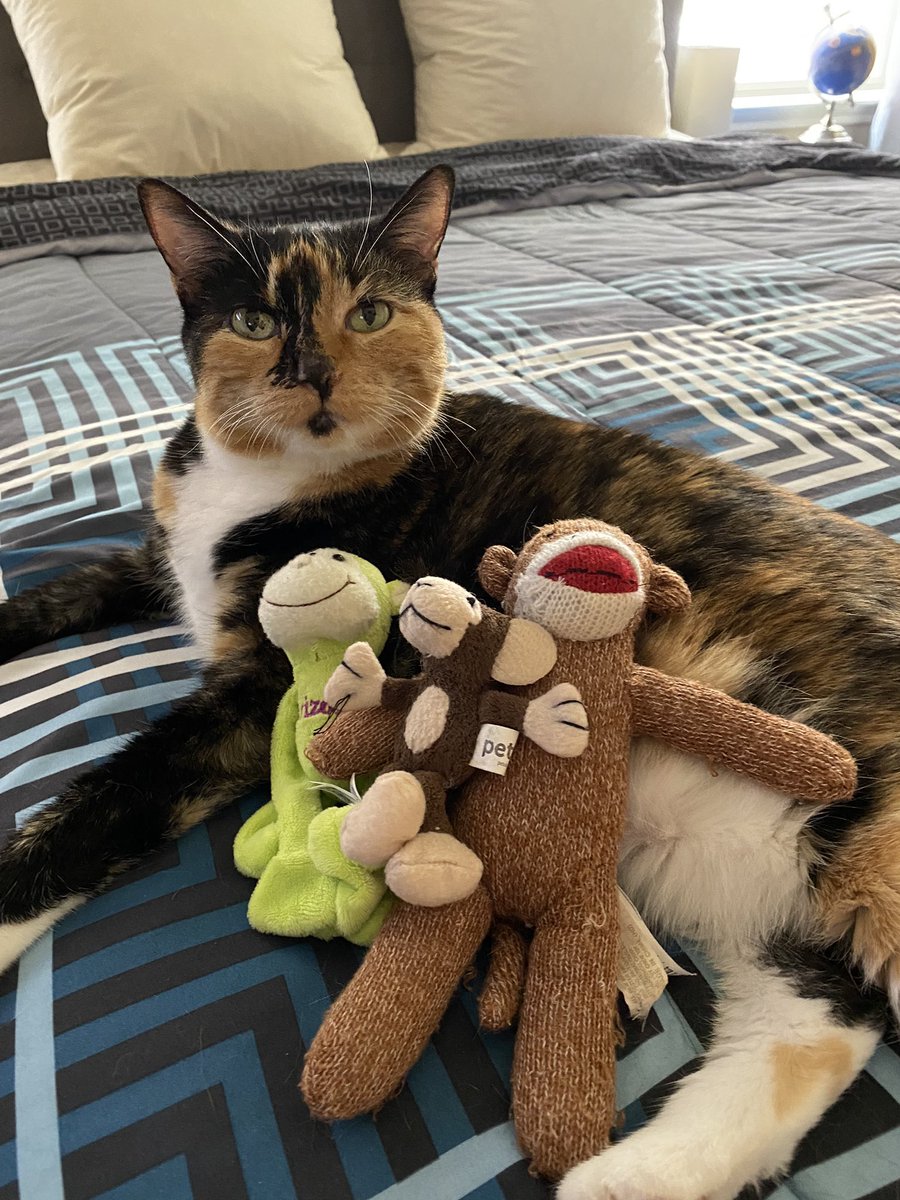 Hanging with my favorite toys! Happy #HumpDay