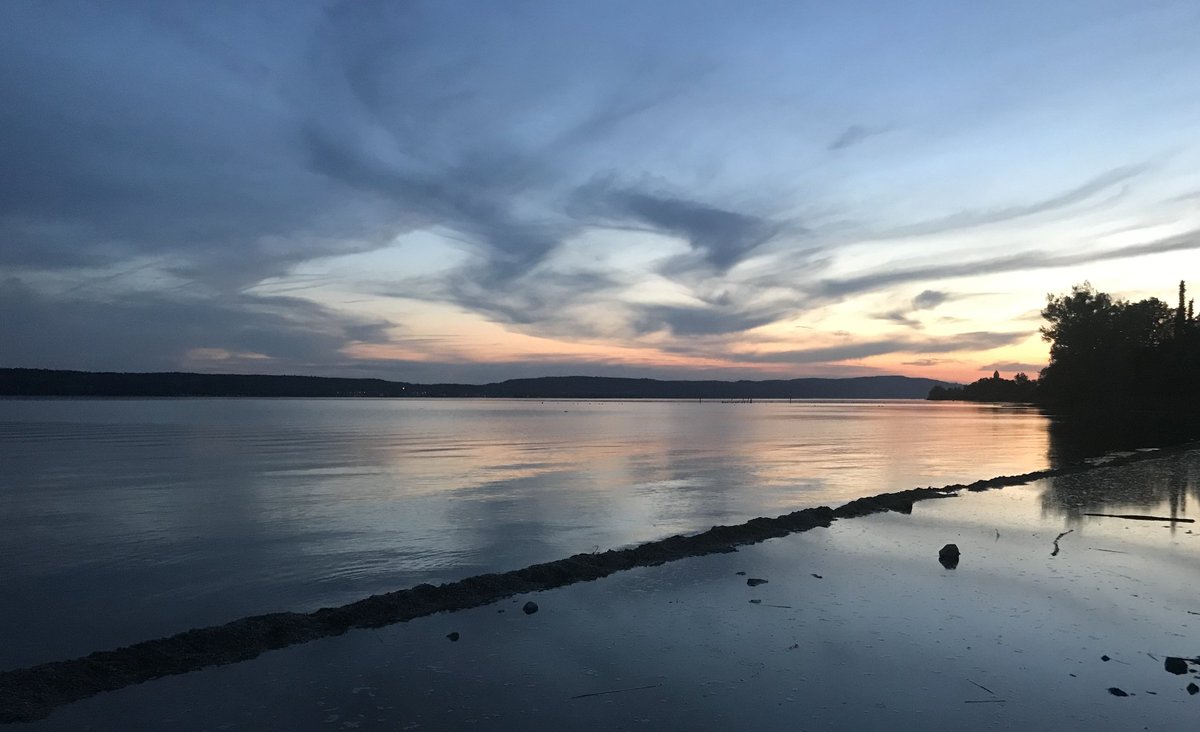 "I have never heard a more eloquent silence." <a href="/Lake/">Seth Lake</a> Constance.

Similarly, each individual deserves communication and expression. Be part of raising awareness for individuals with complete paralysis. Take part in #SpeakChallenge "record/write what would you say, if you can't say"