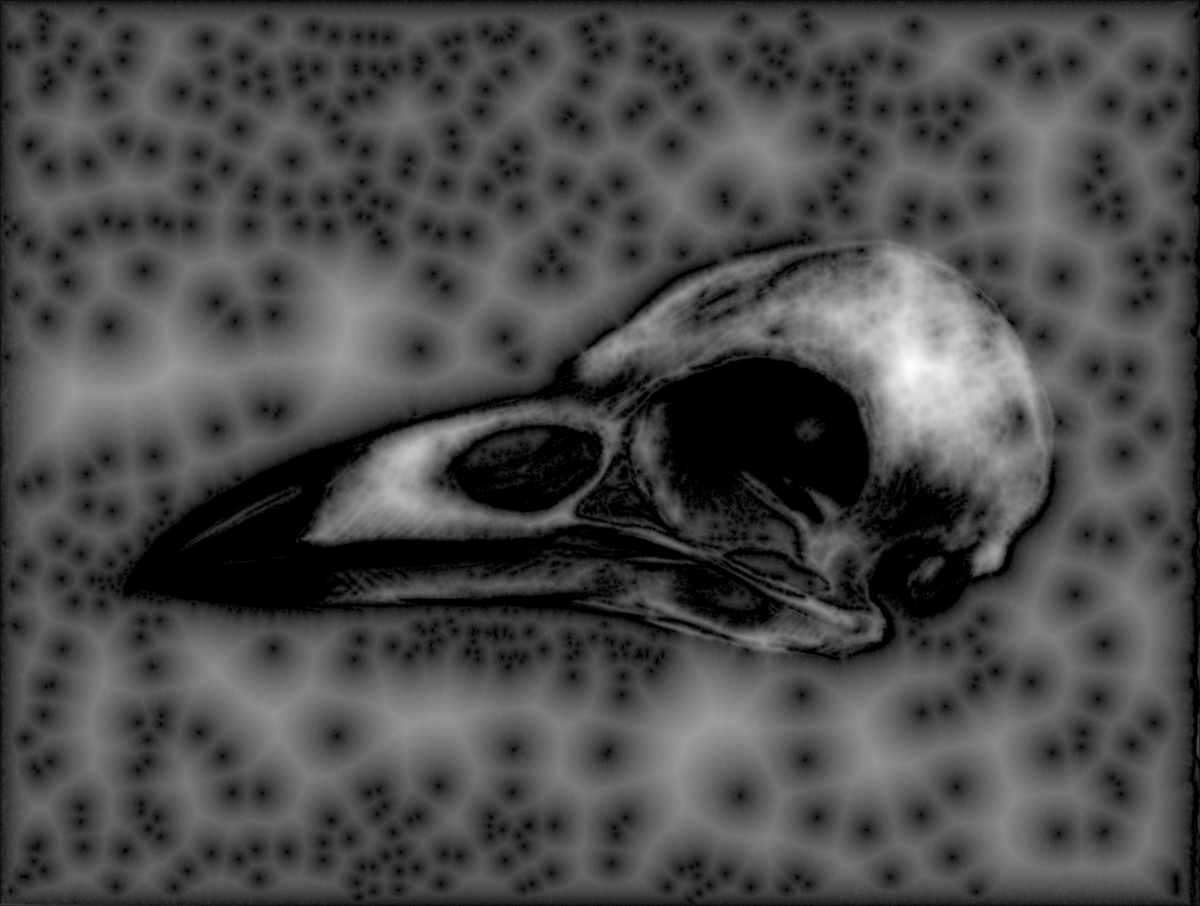 RUST and ~moth~ tweet media