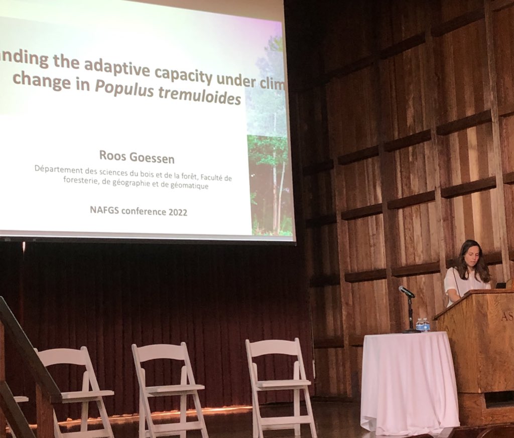 nisabel1's tweet photo. Excellent in person talk today at #NAFGS about #aspen adaptive variation across NA by #RoosGoessen @IPorth @cflscf @CEF_CFR @JillWegrzyn https://t.co/vzdl2bCPTe