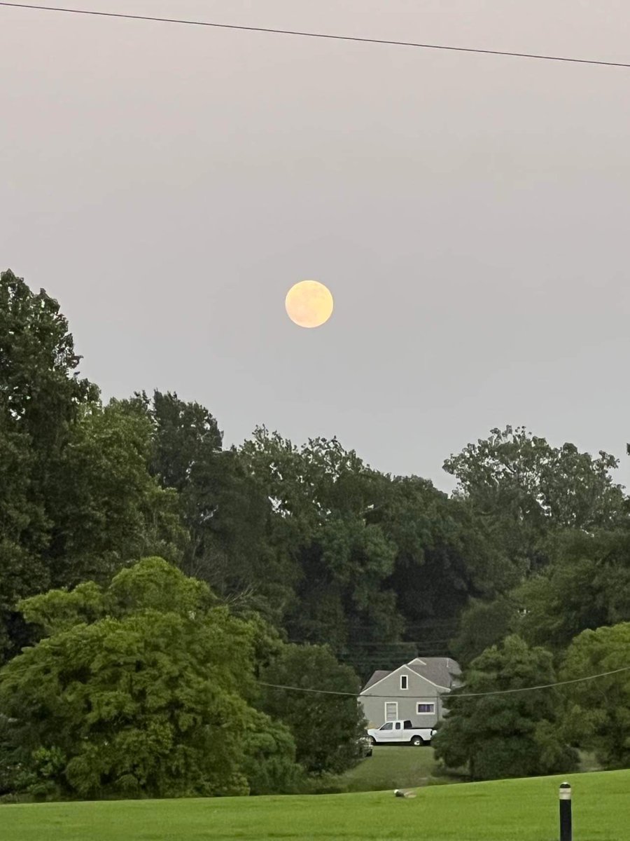 AshleyReneeWx's tweet photo. Here’s a nice view of the #StrawberryMoon 🍓🌕. This pic was taken in #ClevelandMS by one of our @The_Delta_News viewers. #mswx https://t.co/CfB2oWW3NG