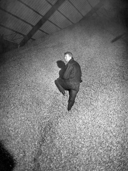 historydefined's tweet photo. Jimmy Carter on a pile of peanuts at his family’s peanut warehouse in Plains, Georgia, 1976 https://t.co/ZtQ5xALP45