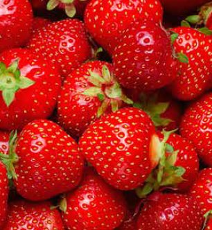 TLeoni311's tweet photo. Yummy 🍓 https://t.co/yb68pGwcn2