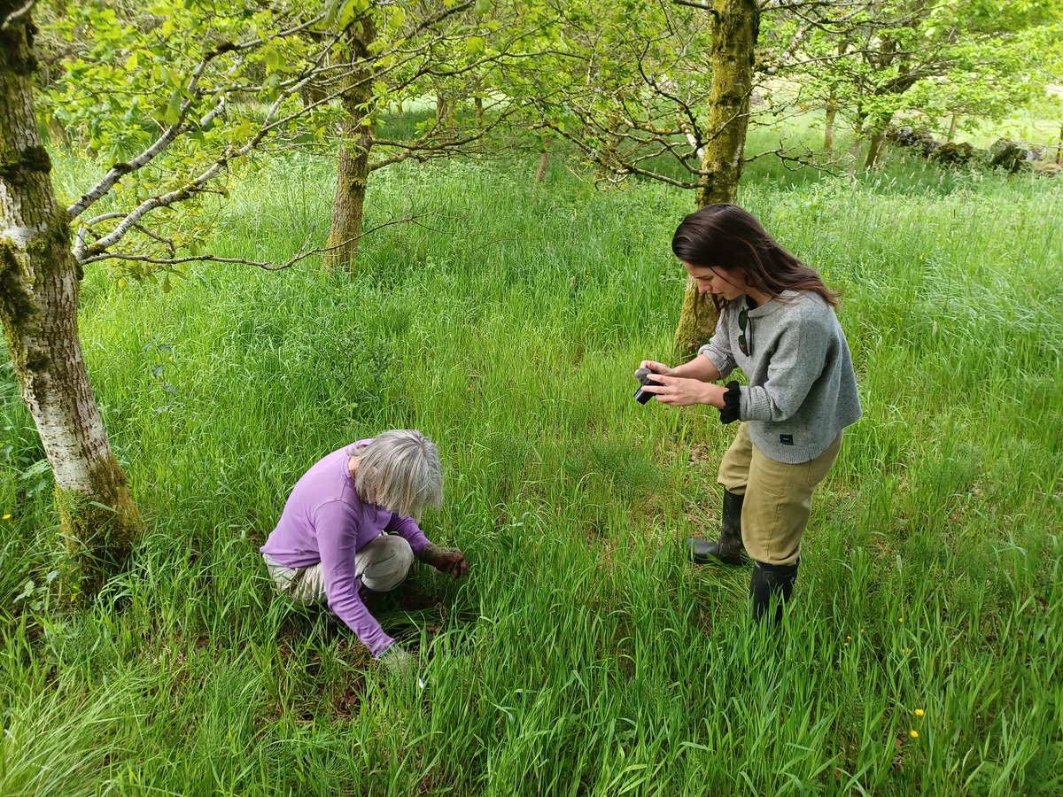 EadhaAspen's tweet photo. Great to give Hannah @MossyEarth  a tour of sunny Renfrewshire (and North Ayrshire) to show her our Rewilding Woodlands Project @yearnstane and to meet our volunteers to do some woodland wildflower planting https://t.co/8gSDoUKpmo