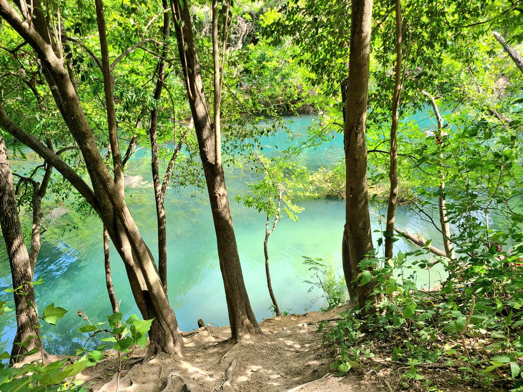 Matt Lockyer tweet media