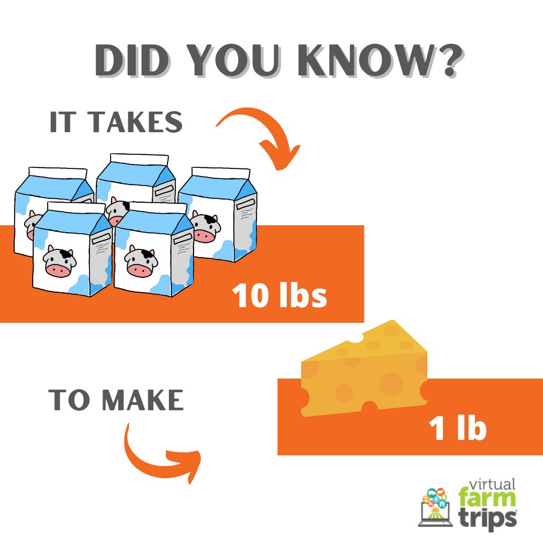 VirtualFarmTrip's tweet photo. We are half way through National Dairy Month! 

Did you know that it takes 10 pounds (1.25 gallons) of milk🥛 to produce 1 pound of cheese🧀?
#30DaysofDairy #NationalDairyMonth #virtualfarmtrips https://t.co/xcrAnYbeA7