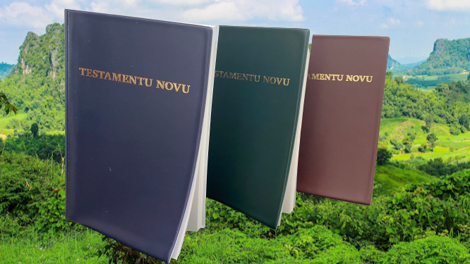 sdadbiblica's tweet image. Estamos emocionados, la lengua Fa d´Ambu ¡ya tiene el Nuevo Testamento traducido! Sociedad Bíblica y PROEL celebramos con especial regocijo este momento histórico.
.
#isladeannobón #proel #guineaecuatorial #escrituras #dalabiblia #sociedadbiblica #traducciones