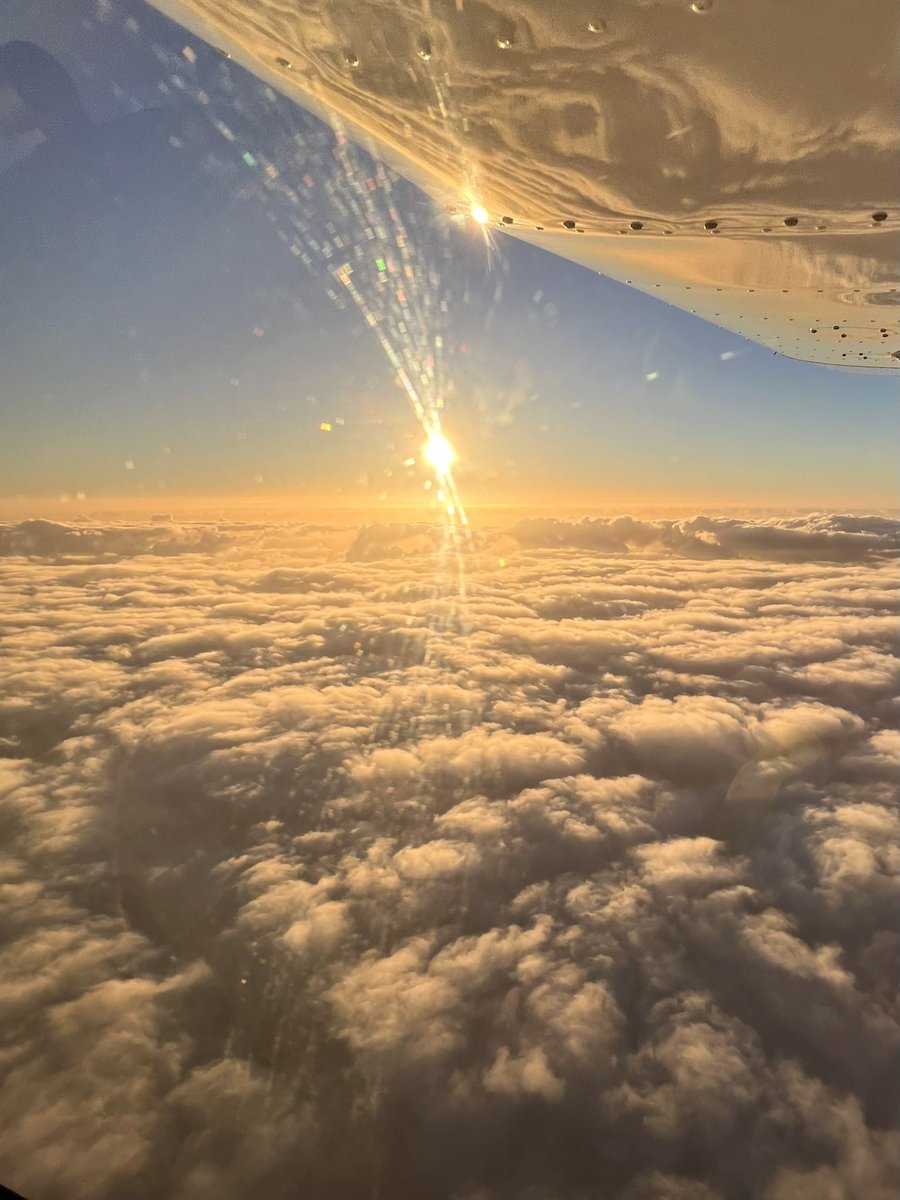 Views from the office 🌅❤️ #officeviews #sunset #wingtipwednesday #sky #aviation #tecnam2008 #clouds #seaofclouds