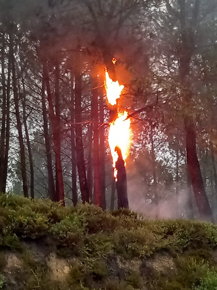 UGTForestaisGZ's tweet image. ⚡