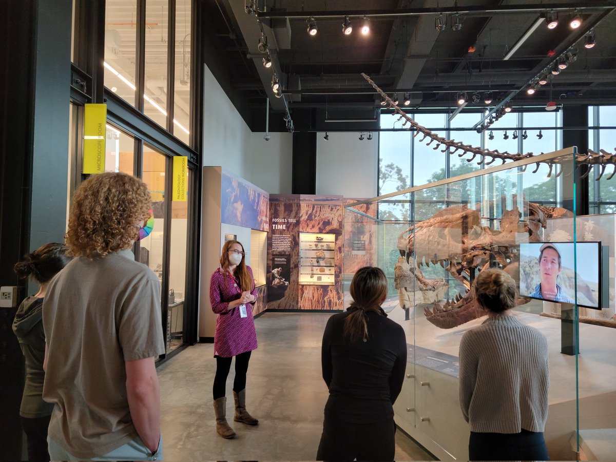 Morphology & Ecology Across Time Lab at Gonzaga tweet media