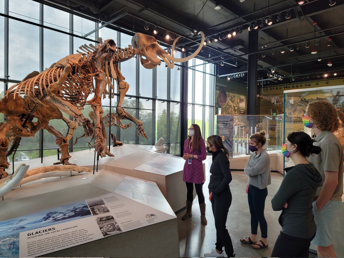 Morphology & Ecology Across Time Lab at Gonzaga tweet media