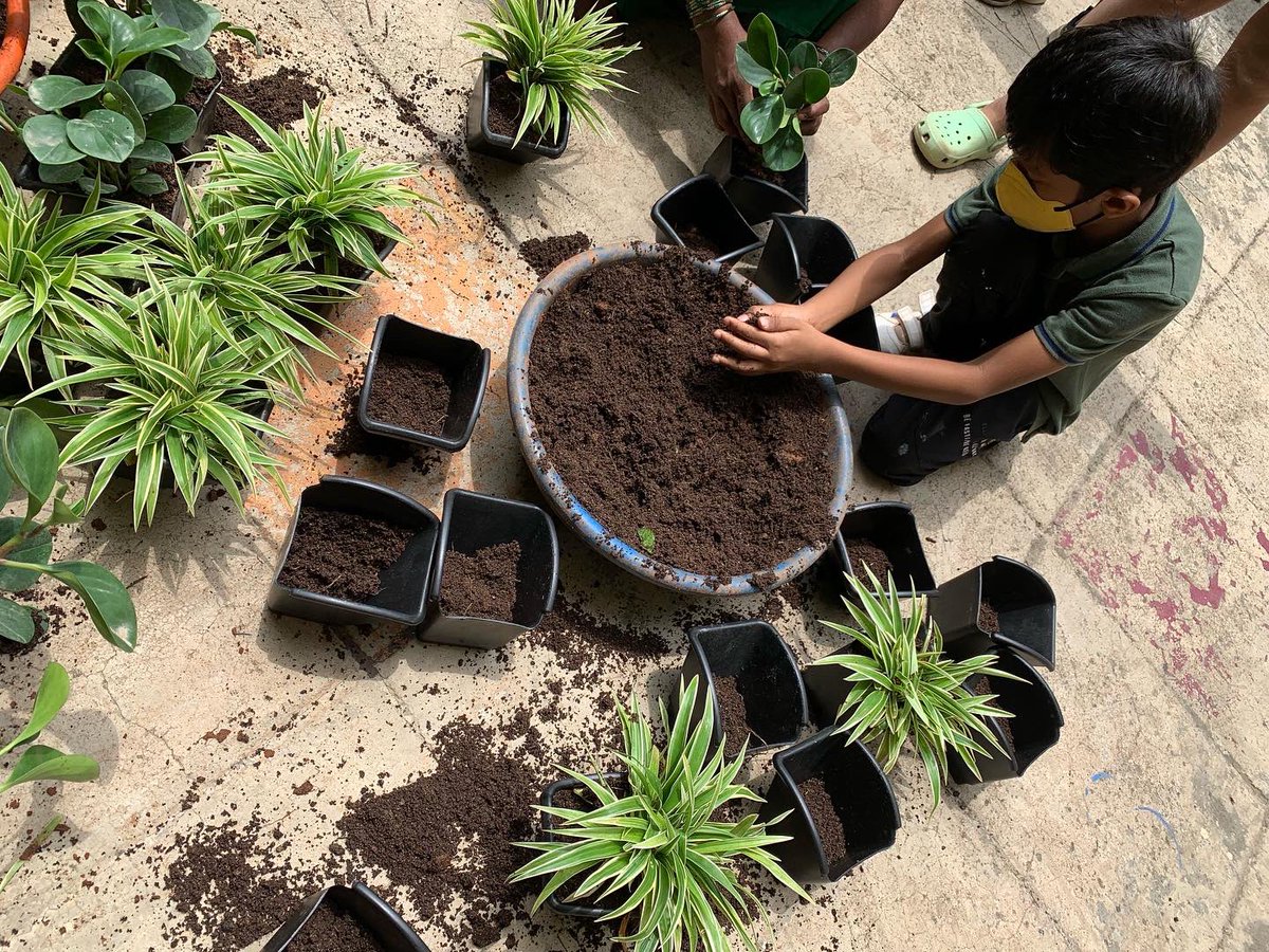 InventureK12's tweet photo. On our beautiful, green campus we’ve taught our students to grow their food, reduce waste and recycle resources wherever possible.
Care for the #environment and nurturing #nature is an essential learning at Inventure.
#theinventureadvantage
#Inventuring
#roundsquareideals https://t.co/kWdhCh4izZ