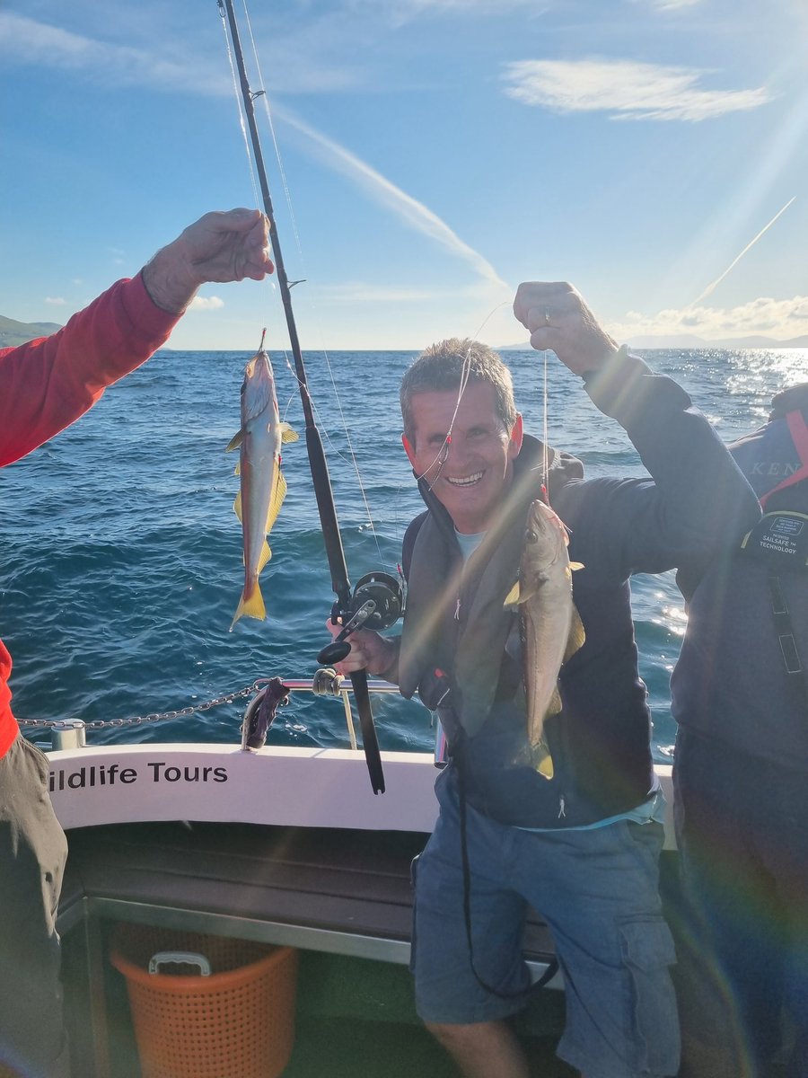 Amazing trip with <a href="/BantryBayTours/">Bantry Bay Charters</a> highly recommend!