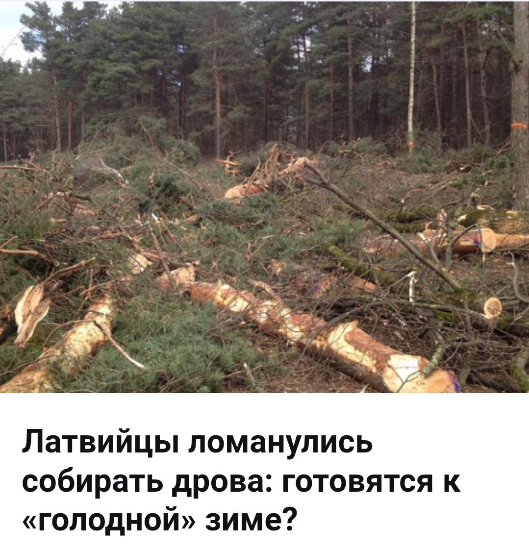 Вырубка леса в Сибири