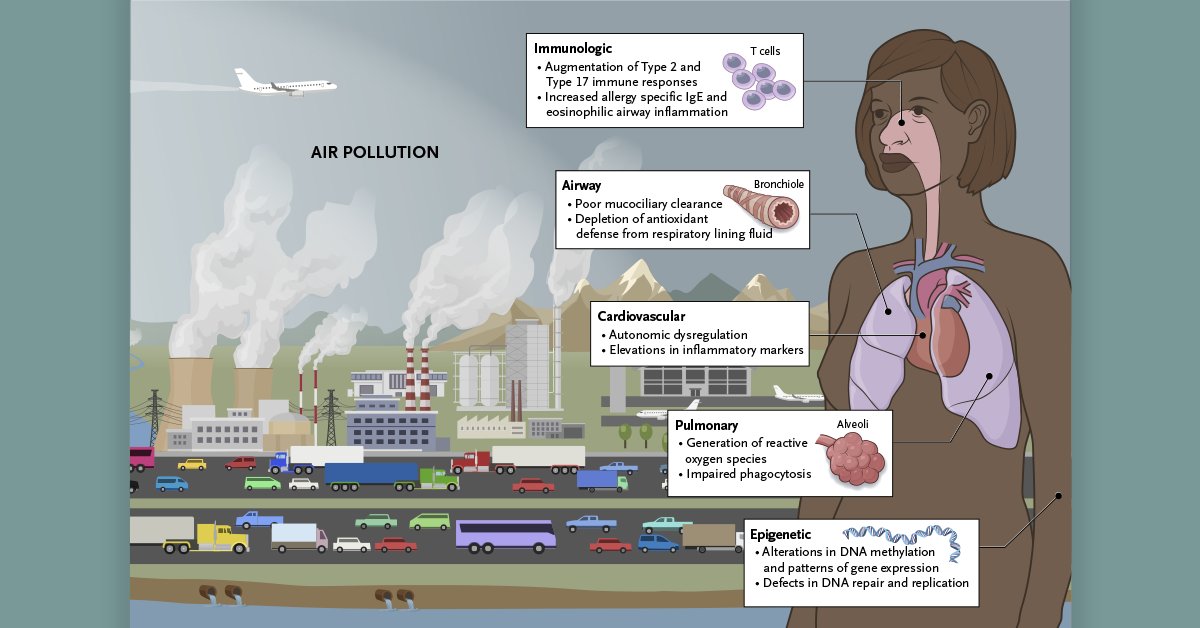 In this review article in the NEJM Group series on #ClimateChange, Keswani and colleagues review the linkages between climate change and #AirPollution and suggest strategies that clinicians may use to mitigate the adverse health impacts of air pollution. eviden.cc/3xV69F4