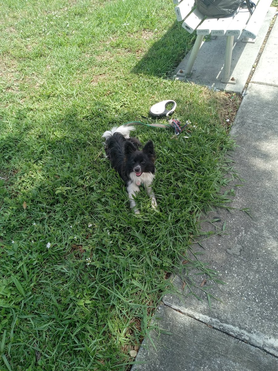 Christopher Gogola (@gocjgo1) on Twitter photo 