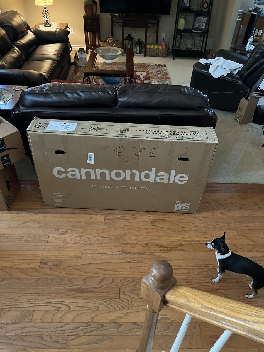 omygodryan's tweet image. 😃