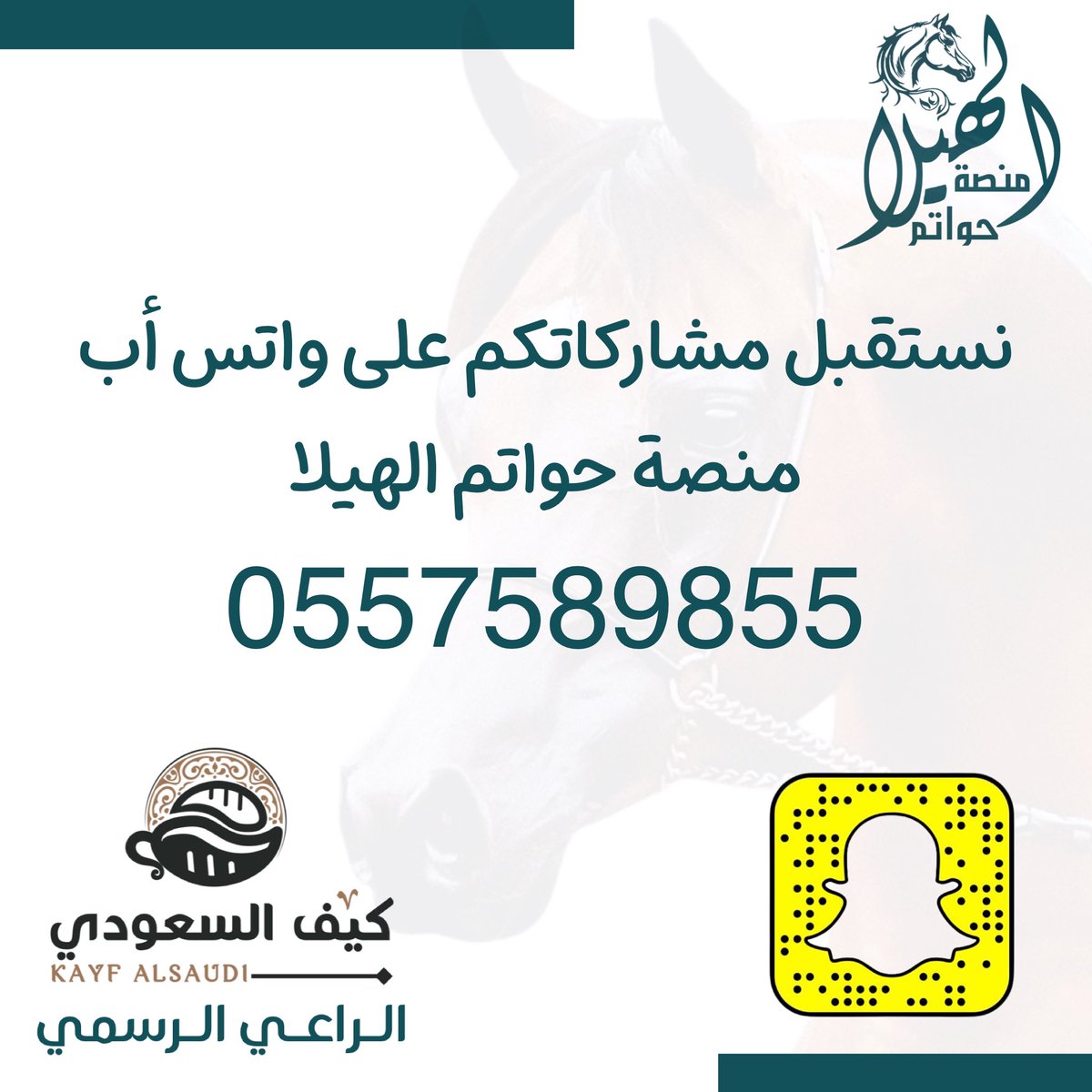 منصة حواتم الهيلا tweet media