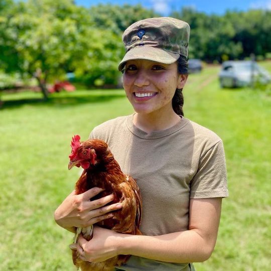 25thDivarty's tweet image. ⚡️#COMMUNITY ⚡️

While spending time on the Island of Hawai’i, @211FieldArtill1 took some time to join @2IBCTWarriors on their community relations project, helping to clear and plant Taro fields at North Kohala Farm.
#TropicLightning #TropicThunder
📸 : 1LT Lee Burk