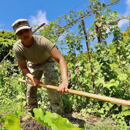 25thDivarty's tweet image. ⚡️#COMMUNITY ⚡️

While spending time on the Island of Hawai’i, @211FieldArtill1 took some time to join @2IBCTWarriors on their community relations project, helping to clear and plant Taro fields at North Kohala Farm.
#TropicLightning #TropicThunder
📸 : 1LT Lee Burk